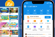 Gaji Tambahan dari HP? Ini Aplikasi Paling Cepat Cairkan Saldo DANA 2025!