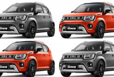 Suzuki Ignis 2026 Hadir Lebih Modern? Desain Makin Stylish, Fitur Bertambah dan Tetap Jadi City Car Irit