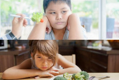 Jangan Panik Mom, Ini 4 Cara Mengajak Anak Mau Makan Dengan Senang dan Tanpa Stres