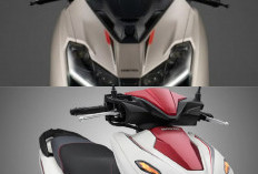 Honda Forza 750 2027 Tampil Lebih Segar, Hadir dengan Dua Pilihan Warna Baru yang Lebih Berkarakter