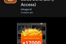 Saldo DANA Rp750.000 Masuk Hari Ini! Begini Cara Dapetinnya dari Game Gratisan!