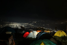 Kebun Raya Dempo Diserbu Wisatawan