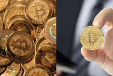 Keuntungan dan Risiko, Hal yang Harus Anda Ketahui Sebelum Investasi Bitcoin!