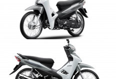 Honda Wave Alpha 2026: Motor Bebek Legendaris yang Kini Lebih Hemat BBM