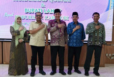 Wako Ludi Oliansyah Terima Kunker Wakil Kepala Staf Kepresidenan RI