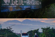 Menguak Misteri Gunung Gede, Antara Keindahan Alam dan Cerita Mistis!