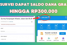 Mengisi Survey Online Bisa Bikin Dompet Anda Penuh Saldo Dana Gratis! Begini Caranya