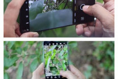 Redmi Kamera Buram di Kondisi Tertentu, Pengguna Bersihkan Lensa Secara Berkala