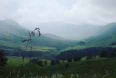 Pemandangan Memukau dari Puncak Gunung Harun, Pesona Alam yang Memikat