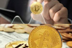 Yuk Pahami Dampak Besar Saat Dunia Mulai Gunakan Mata Uang Digital Resmi di Kehidupan Sehari Hari,