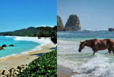 Kisah Pulau yang Muncul dan Hilang di Pantai Nihiwatu Sumba, Fakta atau Mitos?