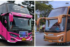 Jangan Asal Murah! Ini 8 PO Bus Pariwisata dengan Rekam Jejak Paling Aman untuk Liburan Rombongan