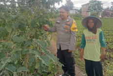 Dukung Ketahanan Pangan Lewat BKTM