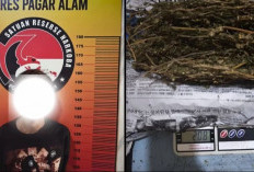 Kurir Ganja Diringkus Petugas Depan Hotel