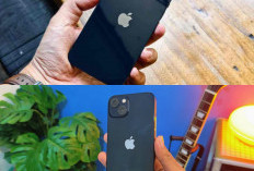 Ulasan Lengkap iPhone 13: Kualitas Kamera, Performa Harian, dan Kisaran Harga Bekasnya Saat Ini