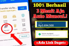 Mau Pinjam Saldo DANA Tanpa Paylater? Ini Rahasia Limit Rp30 Juta yang Belum Banyak Orang Tahu!