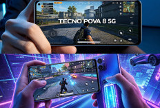 Performa Gamer Sejati! TECNO POVA 8 5G Resmi Rilis di Indonesia, Baterai Raksasa dan Layar Keren