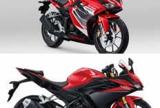 Update Harga Lengkap Keluarga Honda CBR Bulan Juli 2026, Mulai dari CBR150R, CBR250RR, hingga CBR600RR