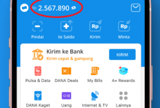 Nomor HP Kamu Terpilih Dapat Saldo DANA Gratis Rp487.000, Cek Sekarang!