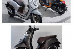 Update Harga Honda Scoopy Bekas, Skutik Retro Modern Bertampang Imut yang Bikin Modifikator Gatal