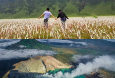 Gunung Alang-Alang, Tempat Pelarian Ideal bagi Pecinta Alam dan Kedamaian, Simak!