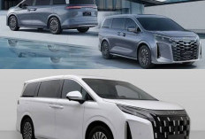 BYD M9 Makin Dekat ke Indonesia, MPV Hybrid Premium Siap Tantang Alphard, Begini Speknya!