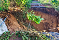 Cuaca Ekstrem Melanda, BPBD Pagaralam Imbau Warga Tingkatkan Kewaspadaan