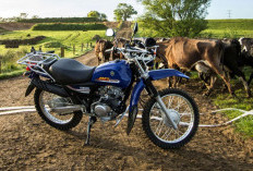 Yamaha AG125, Motor Tangguh dengan Desain Trail Jadul, Solusi Ideal untuk Pekerjaan di Perkebunan