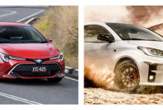 Miliaran Unit Terjual, Ini Dia Mobil Paling Populer yang Menguasai Dunia!