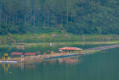 Misteri Air Abadi Danau Dieng, Teori dan Spekulasi! Ini Ulasanya!