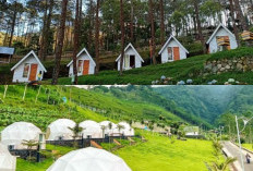 Mengapa Glamping di Karanganyar Menjadi Pilihan Wisata Menarik? Simak Artikel Ini!