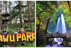 Melihat Air Terjun Gedung Manten, Destinasi Wisata Alam yang Membawa Ketenangan dan Keindahan