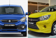 Mengenal Suzuki Celerio, Mobil Irit dengan Harga Separuh Brio E CVT, Segini Harganya!