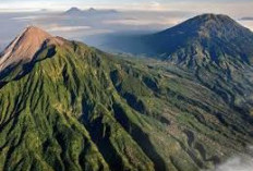 Menyelami Kekayaan Flora dan Fauna Gunung Harun, Sebuah Petualangan Ekologi