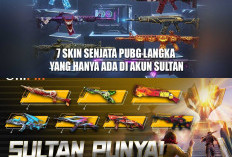 7 Skin Senjata PUBG Langka yang Hanya Ada di Akun Sultan