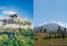 Kisah Pasar Gaib di Gunung Sindur, Fenomena Mistis yang Membuat Merinding!