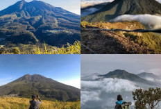Eksplorasi Keindahan Gunung Lawu, Keanggunan di Antara Gunung-Gunung Rendah Indonesia!