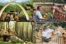  Yuk LIburan Ke Wisata Malang Taman Safari Mengenal Satwa?