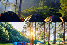 6 Tempat Camping Paling Populer di Bogor yang Wajib Dikunjungi