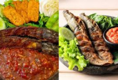 Resep Pecel Lele Lamongan Kuliner Spesial Bikin Ngiler!