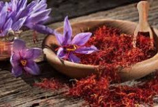 Mengapa Bunga Saffron Sangat Penting Untuk Kesehatan? Ini Dia 5 Keajaiban Saffron Penggunaan Dalam Pengobatan!