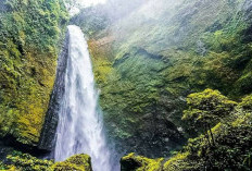 Banyak yang Nggak Tau, Ini 5 Air Terjun di Sekitar Surabaya 