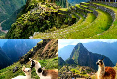 Teka-teki Dunia? Machu Picchu Keajaiban Kota Purba di Puncak Andes yang Meninggalkan Misteri 