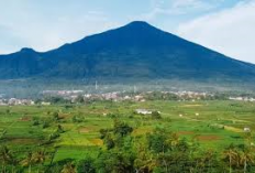 Kisah Mistis dari Gunung Ciremai: Dari Gamelan yang Tidak Terlihat hingga Burung Hitam yang Mengikuti