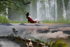 Spot Foto Unik dan Kekinian di Semarang, Cocok Buat Healing dan Hunting Foto
