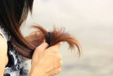 Udah Tahu Belum? Ini 5 Tips Rahasia Rambut Sehat Mengatasi Rambut Bercabang Tanpa Potong
