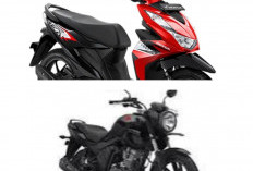 Modal 4 Juta Bisa Gaya! Alasan Honda BeAT Lawas Kembali Merajai Jalanan di 2026: Iritnya Kebangetan, Sparepart