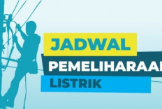 PLN Lakukan Pemeliharaan Jaringan, Sejumlah Wilayah Pagar Alam Alami Pemadaman