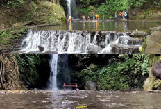 Menikmati Keindahan dan Petualangan di Curug Putri Palutungan, Destinasi Tersembunyi di Kaki Gunung Ciremai!