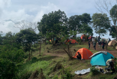 Penting Panduan Lengkap Mendaki Gunung Kelud: Dua Rute, Satu Puncak